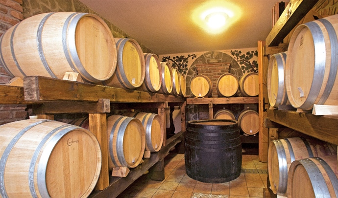 Winnica  „Micak”